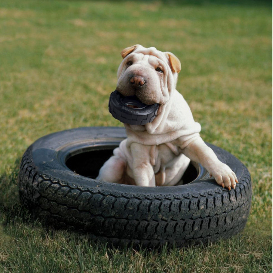 Kong Extreme Traxx neumático mordedor para perros thumbnail