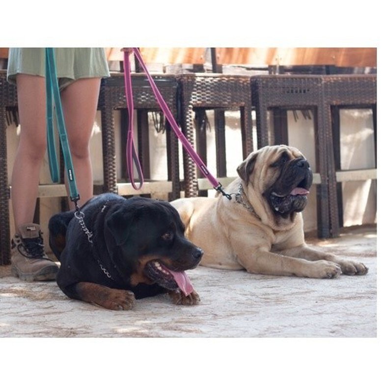 APEX DOG GEAR correa de nylon con doble asa rosa para perros, , large image number null