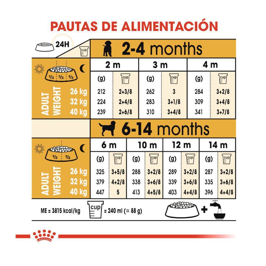 Royal Canin Puppy Labrador Retriever pienso para perros thumbnail