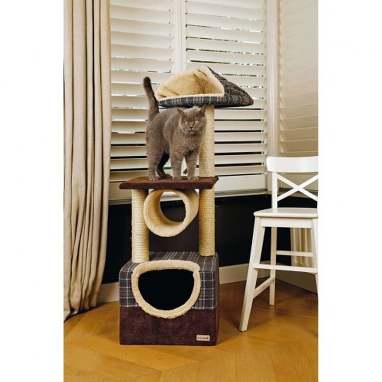 Poster rascador Beeztees Danya color Marrón, , large image number null