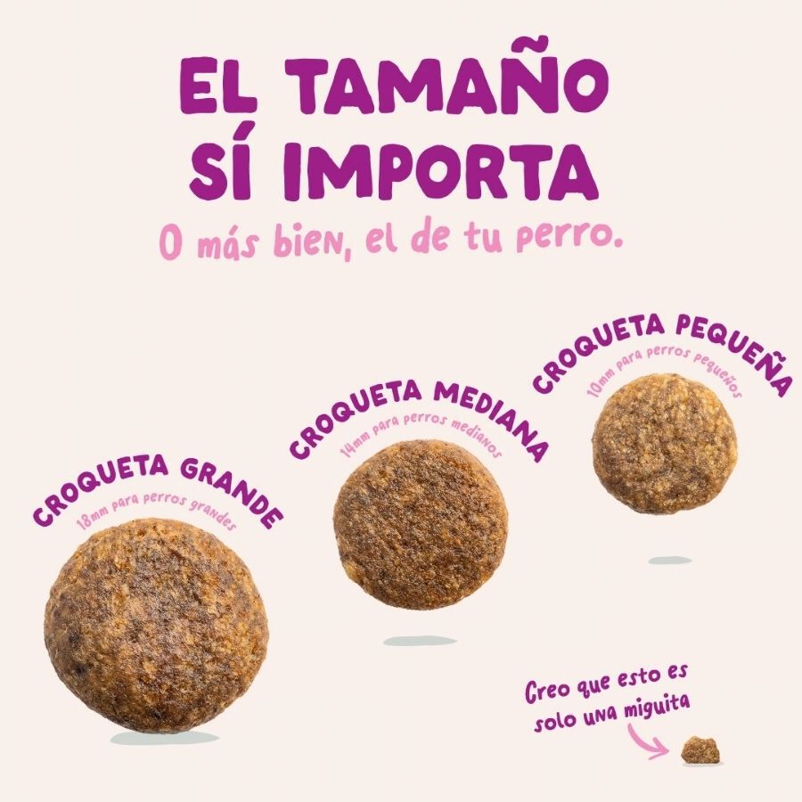12 kg Edgard & Cooper Puppy Pato y Pollo pienso para perros grandes, , large Imagen numero 5