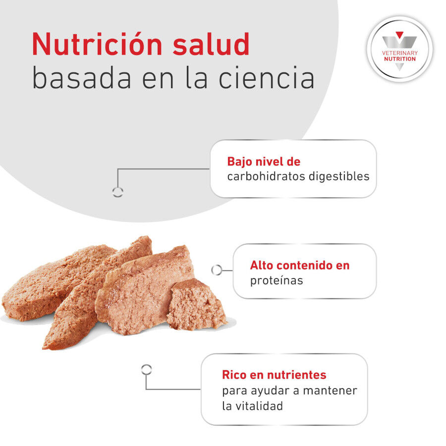 195 g Royal Canin Veterinary Diabetic latas para perros, , large Imagen numero 6