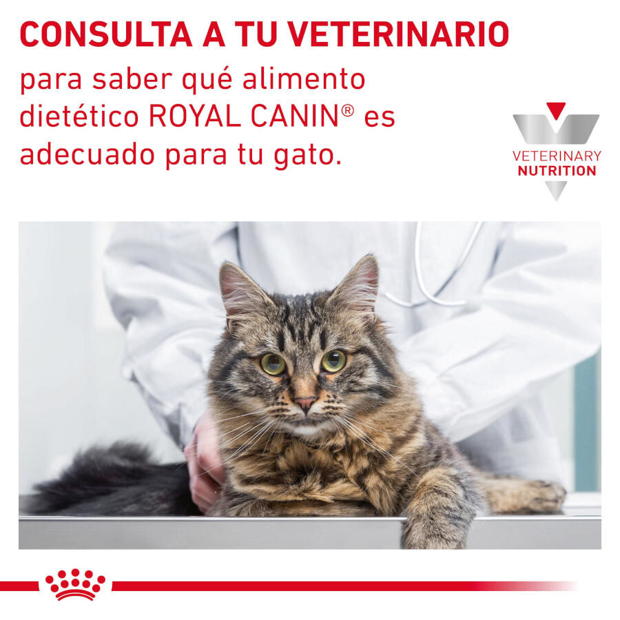 12 sobres x 85 g Royal Canin Gastrointestinal Fibre Response L&aacute;minas en Salsa Sobre para gatos, , large Imagen numero 8