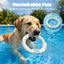 Nobleza Frisbee para Perros Pack de 2 &ndash; Disco Volador Interactivo de Goma E-TPU Indestructible y Ultraligero, Juguete Flotante y Limpiadientes para Adiestramiento en Playa y Parque &Oslash; 23 cm, , large indicador imagen numero 4