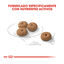 2 x 8 kg Royal Canin Sterilised Mini pienso para perros ¡Pack ahorro!, , large indicador imagen numero 4