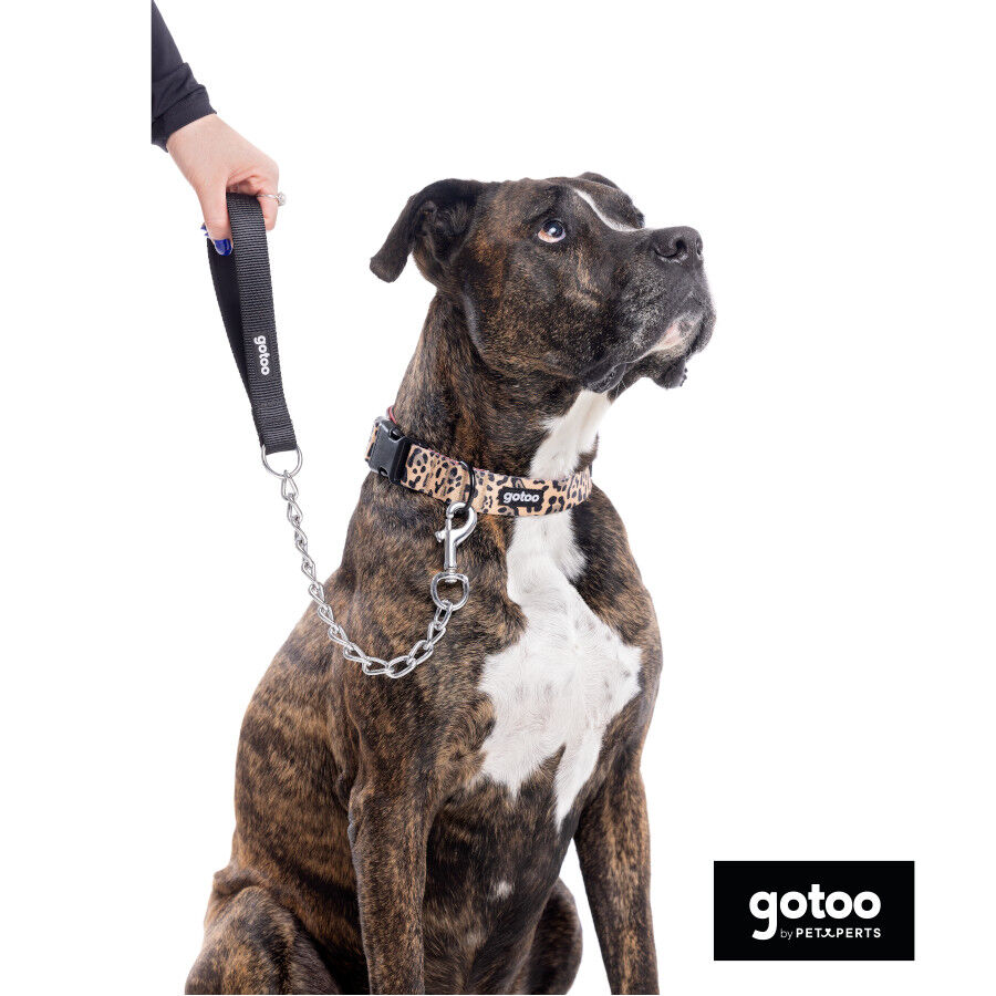 Gotoo Correa de cadena para perros, , large Imagen numero 4