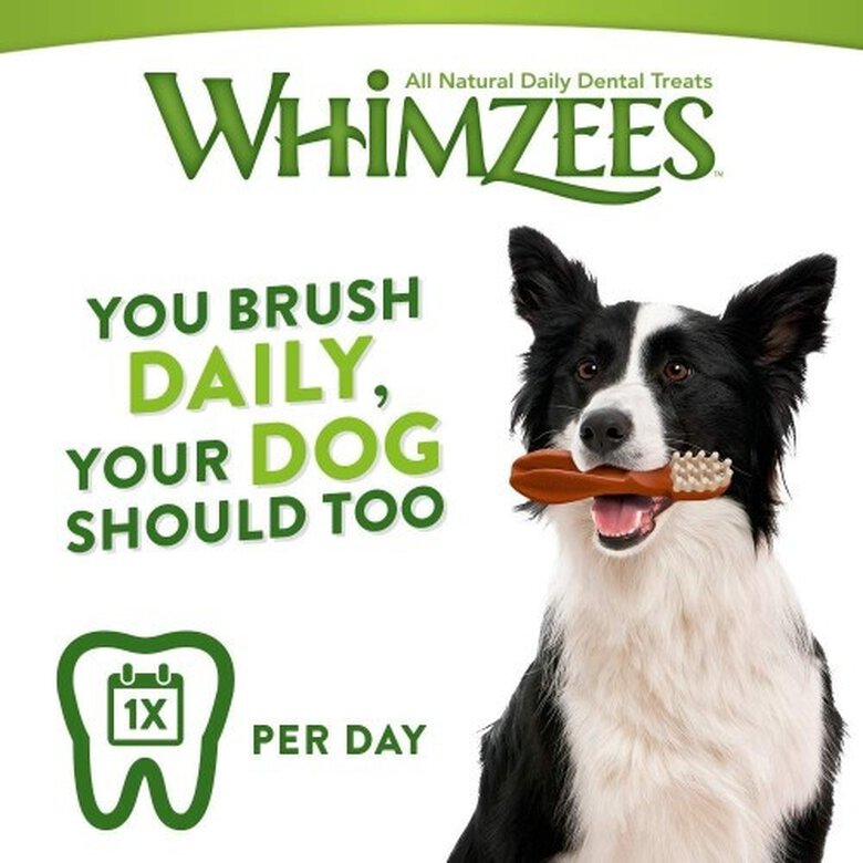 Cepillos de dientes comestibles para perros olor Natural, , large image number null