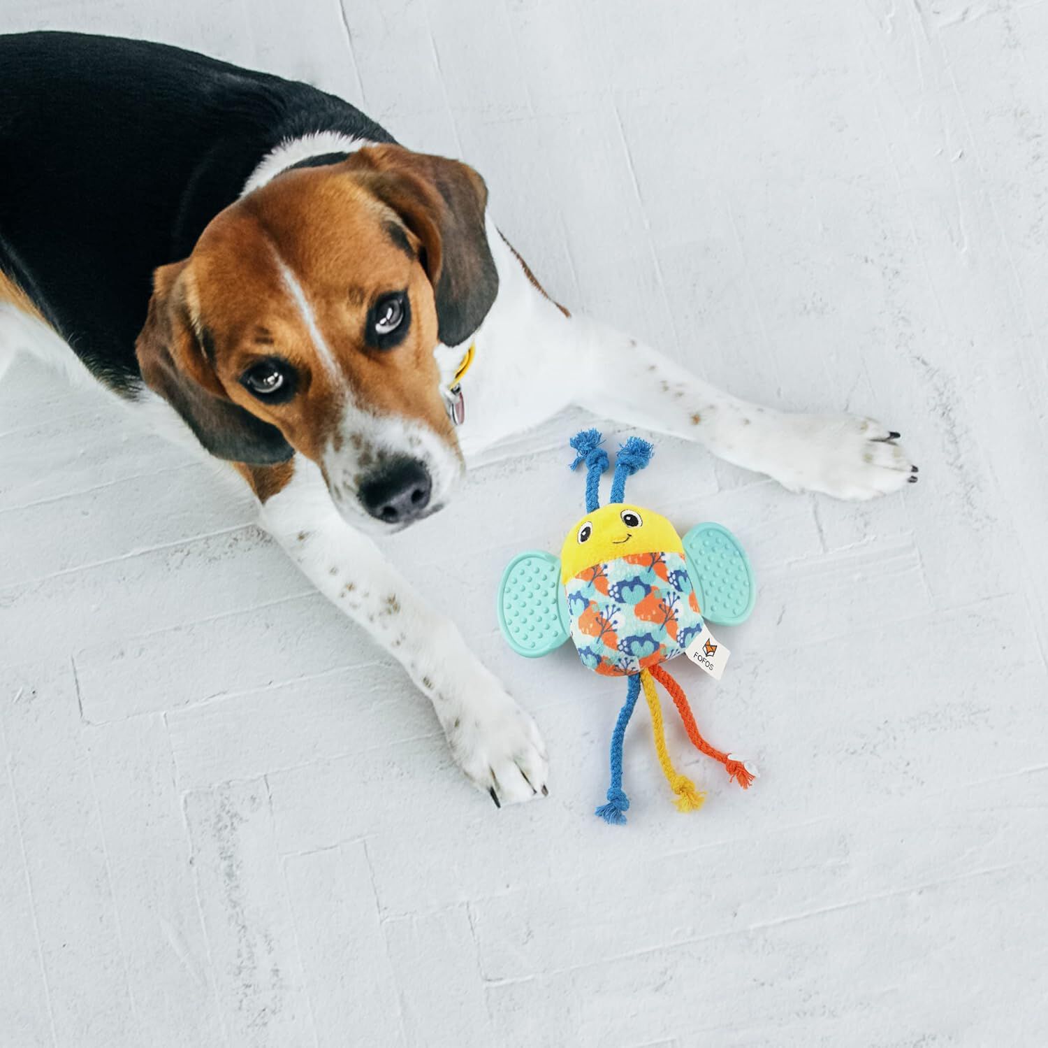 FOFOS | Peluche Abeja con Mordedor y Sonido - Para Cachorros/Perros de Raza Peque&ntilde;a, , large Imagen numero 5