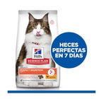 Hill’s Adult Science Plan Perfect Digestion Pollo Pienso para gatos, , large image number null