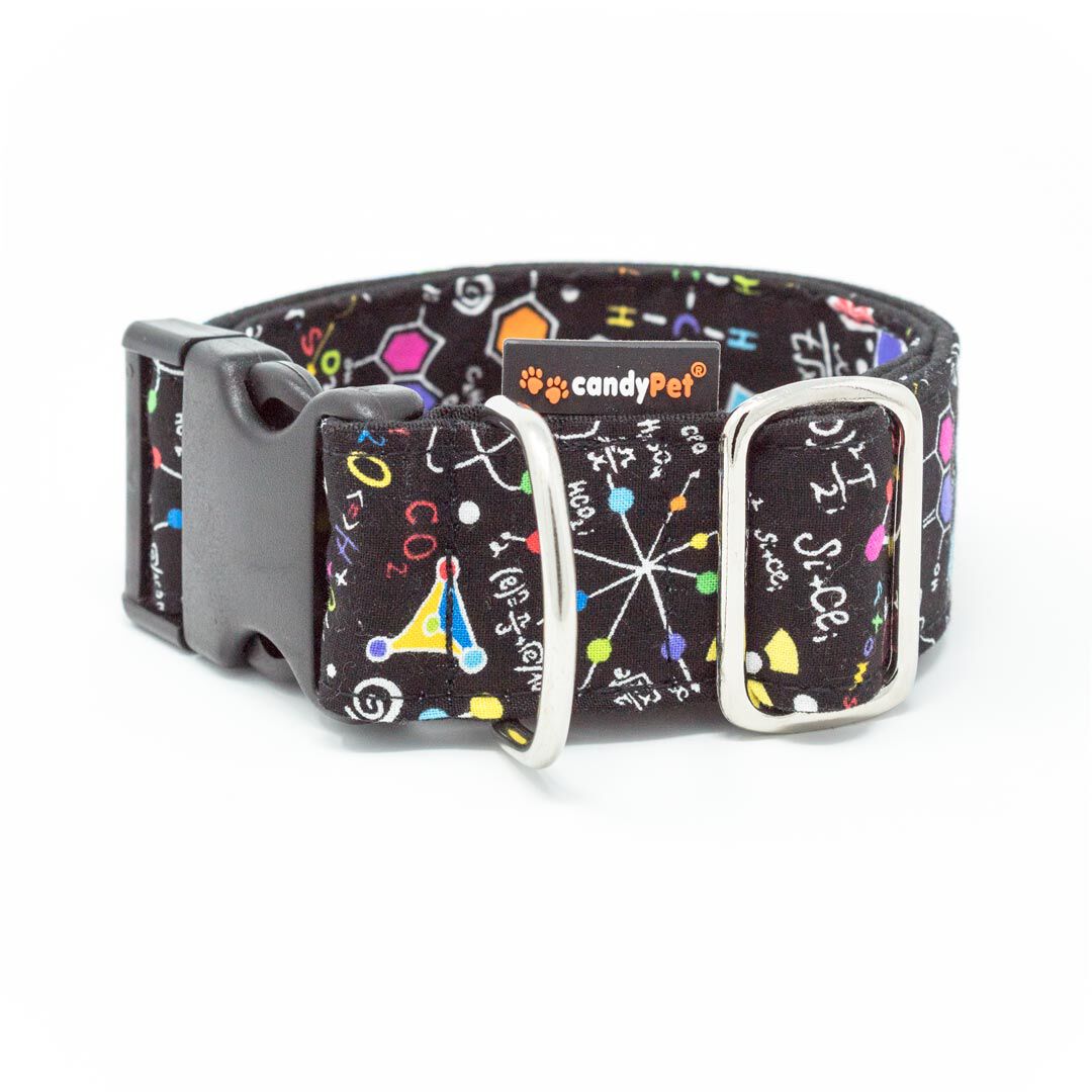 candyPet&reg; Collar Click para Perros - Modelo Multicolor, , large Imagen numero 1