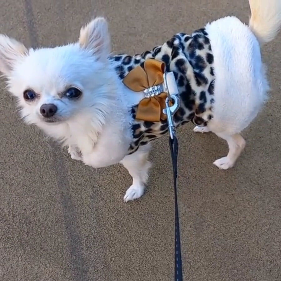 Ideal Pets Abrigo Sharisa para perros thumbnail