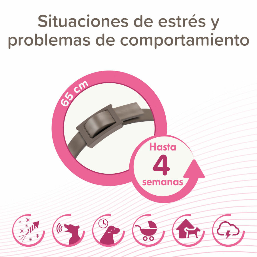 Beaphar CaniComfort Collar Calmante 45 cm para perros, , large Imagen numero 3