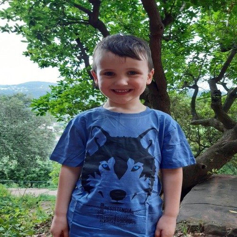 Camiseta niño/a lobo color Blanco, , large image number null