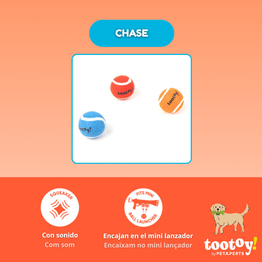 Tootoy! Pack de Pelotas de Tenis de Colores para perros, , large Imagen numero 3