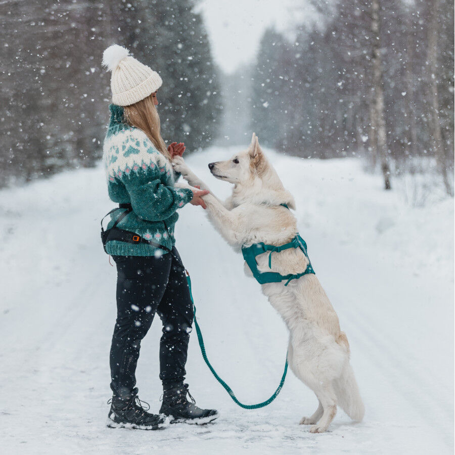 Non-stop Dogwear Arn&eacute;s Largo Azul y Verde para perros, , large Imagen numero 4