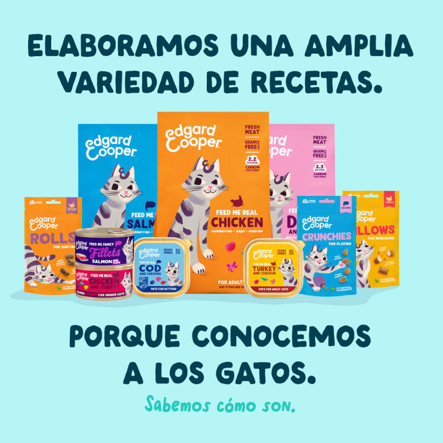 70 g Edgard & Cooper Filetes de At&uacute;n y Gambas lata para gatos, , large Imagen numero 9