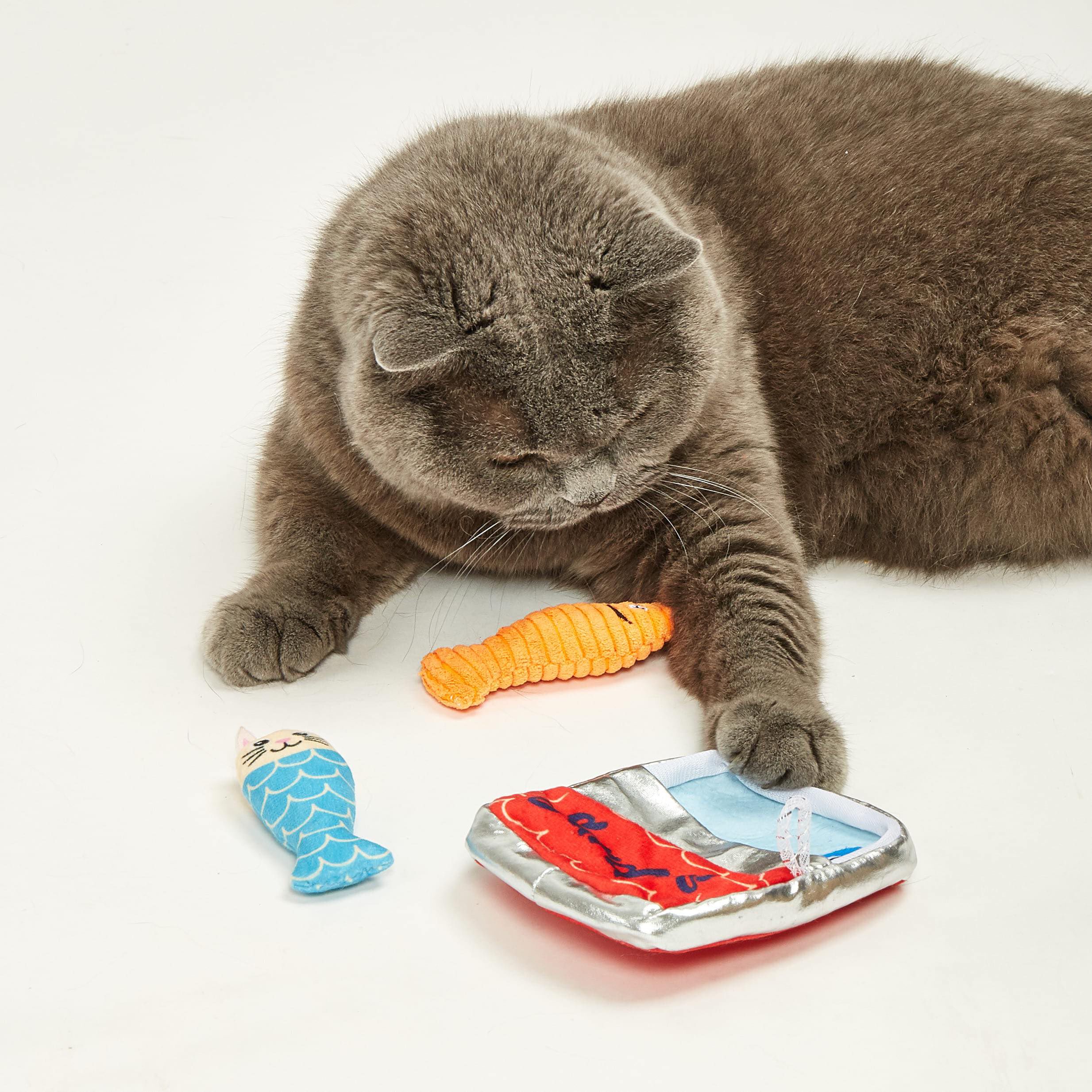 FOFOS | Sardina (Pack de 5) (Colecci&oacute;n Sardina) &ndash; Para Gato, , large Imagen numero 4