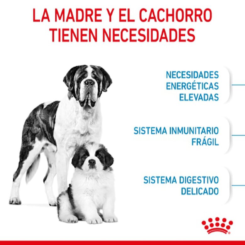Royal Canin Starter Puppy Giant Pienso para perros, , large image number null