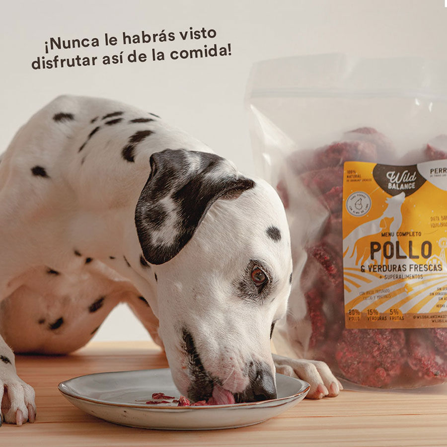 Pack de men&uacute; completo BARF para perros sabor Pollo, , large Imagen numero 6