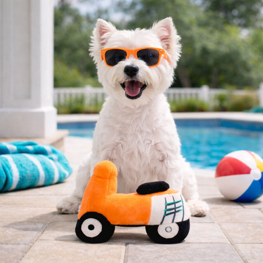 Summer Vibes Peluche Moto Juguete para perros
