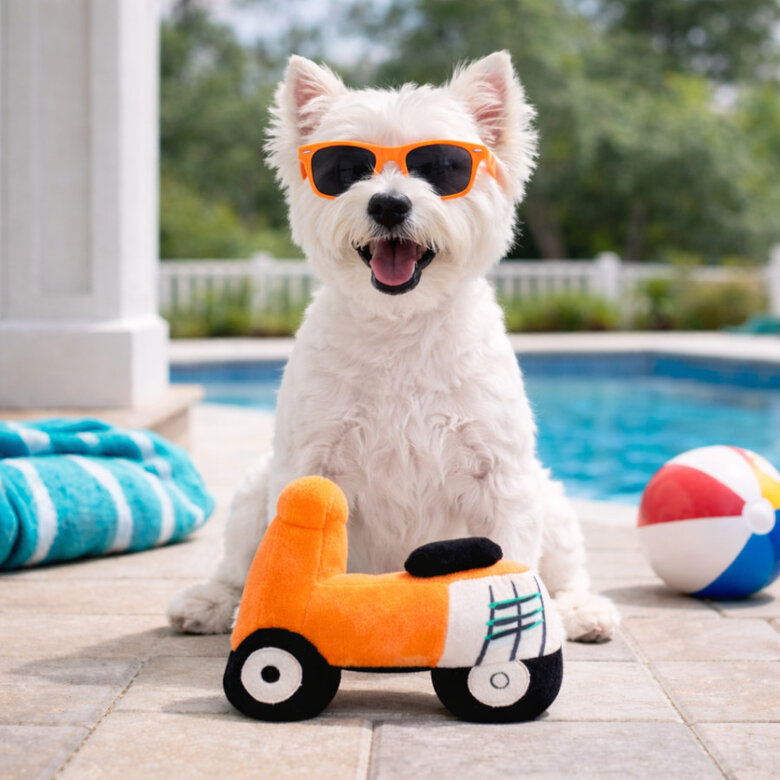 Summer Vibes Peluche Moto Juguete para perros