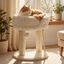 COSTWAY 40 x 40 x 50,5 cm &Aacute;rbol para Gatos Peque&ntilde;o (Blanco) | Torre para Gatos con Plataforma Superior de Felpa, Rascadores de Sisal, Bola Colgante, Torre gato Interior para Mascotas, , large indicador imagen numero 2