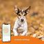 Localizador Weenect GPS Dogs² para perros, , large indicador imagen numero 4