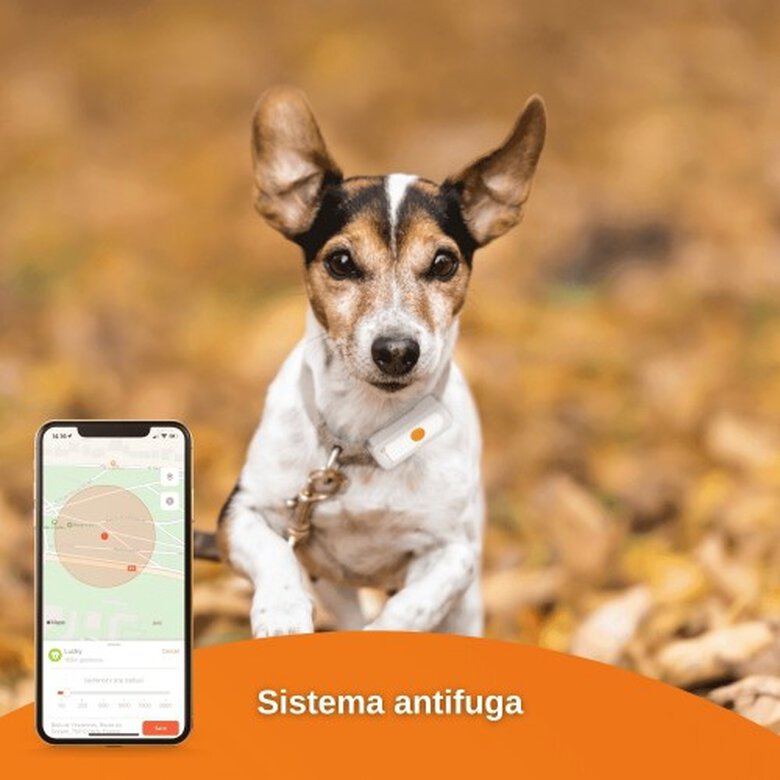Localizador GPS Dogs² perros |