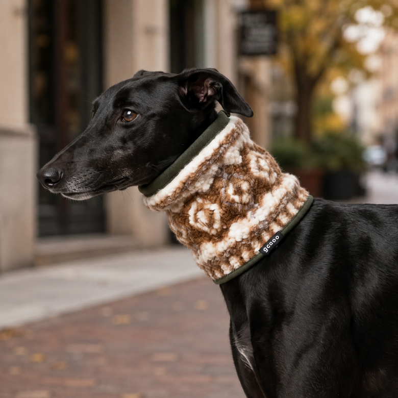 Gotoo Bufanda Estampado Retro para perros