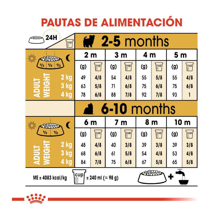 Royal Canin Puppy Yorkshire Terrier pienso para cachorros thumbnail