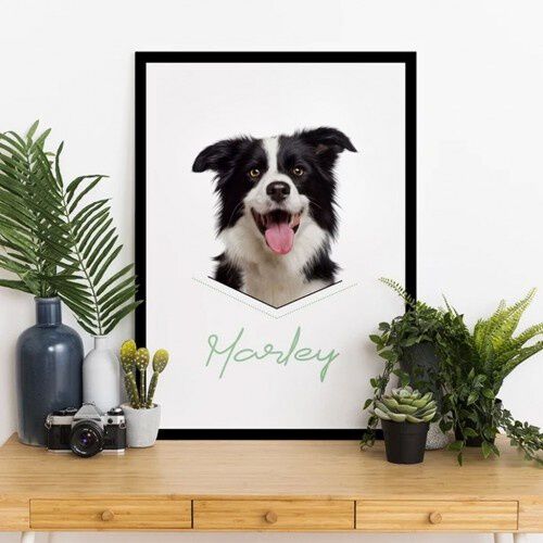 Mascochula retrato realista personalizado en digital con tu mascota , , large Imagen numero 3