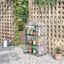 Outsunny Invernadero de Jardín con 3 Estantes Metálicos y Puerta Enrollable Vivero Casero de Terraza Exterior para Cultivo Plantas Flores Macetas 69x49x125 cm Transparente, , large indicador imagen numero 2