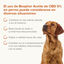 Beaphar Aceite de CBD para perros, , large indicador imagen numero 3