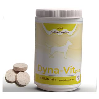 ROVETPHARMA DynavitPro Multivitamina Complejo Nutricional para Perros