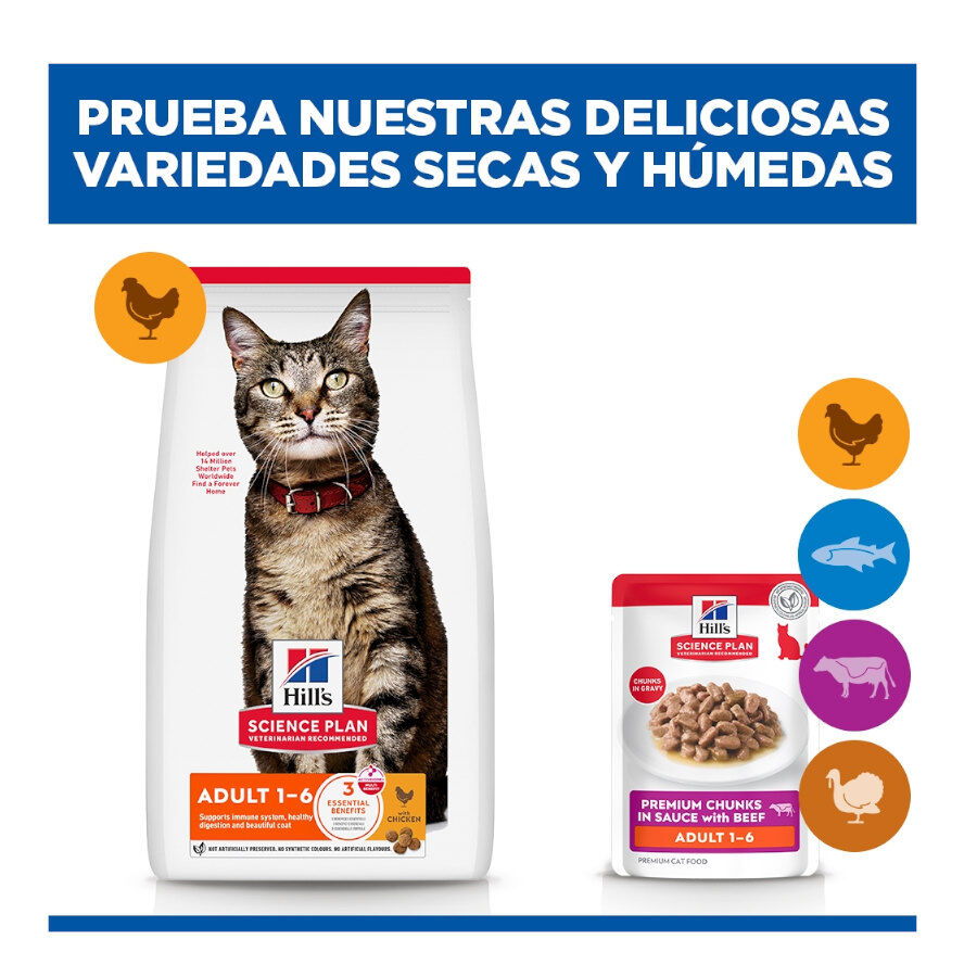 85 g Hill's Science Plan Adult Ternera Sobre en Salsa para gatos, , large Imagen numero 11