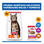 85 g Hill's Science Plan Adult Ternera Sobre en Salsa para gatos, , large indicador imagen numero 11