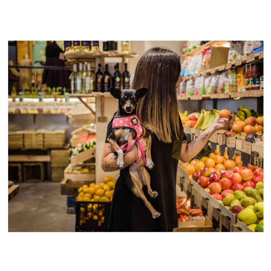 Dukier Dogtella Arnés Reversible Estampado Nutella para perros thumbnail