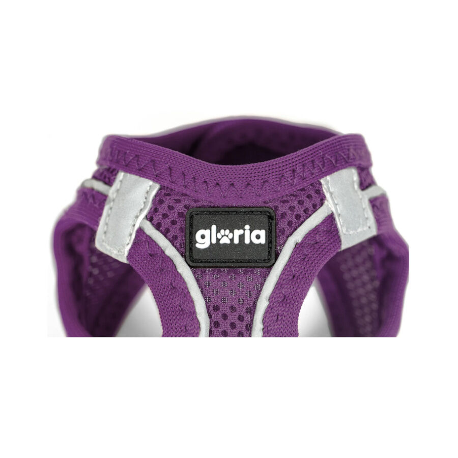 Gloria Air Mesh Trek Star Arnés Morado para perros thumbnail
