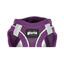 Gloria Air Mesh Trek Star Arnés Morado para perros, , large indicador imagen numero 3