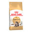 4 kg Royal Canin Adult Maine Coon pienso para gatos, , large indicador imagen numero 1