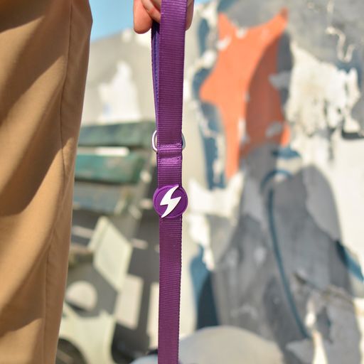 Dashi correa de nylon p&uacute;rpura para perros, , large Imagen numero 2