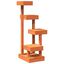 vidaXL Árbol para gatos madera maciza pino marrón cera 45,5x49x103 cm, , large indicador imagen numero 1