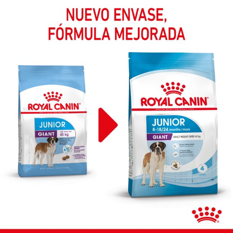 Royal Canin Junior Giant pienso para perros, , large image number null