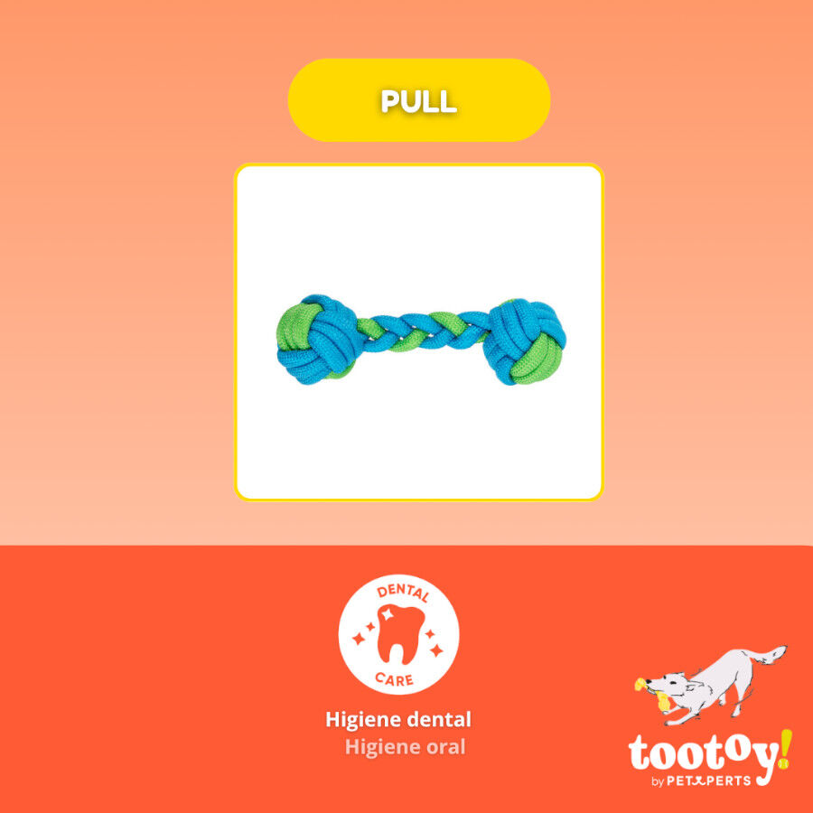 Tootoy! Hueso Mordedor de Cuerda Verde y Azul para perros, , large Imagen numero 3