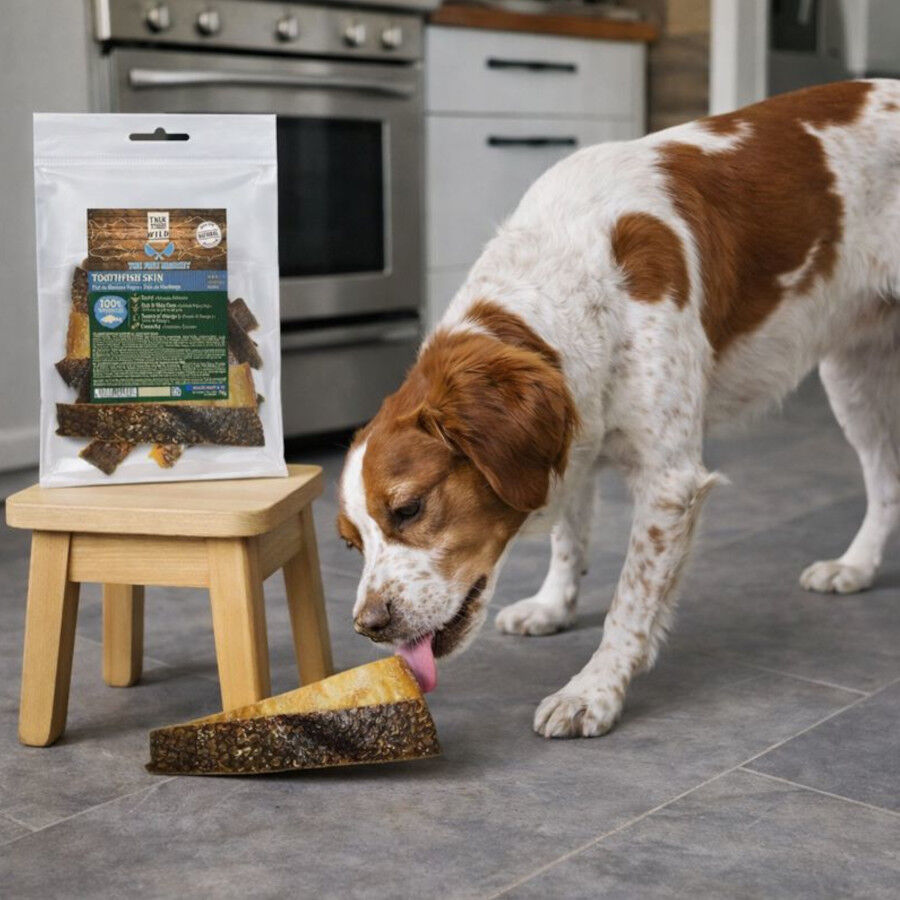 70 g. True Origins Piel Merluza Negra Snack para perros, , large Imagen numero 1