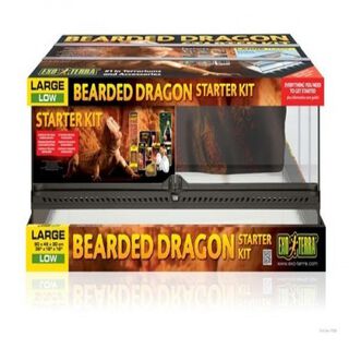 Kit terrario Exo-Terra Dragon Starter