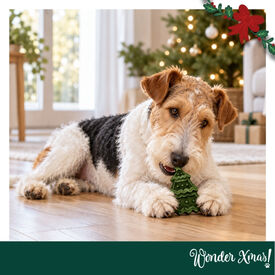 Wonder Christmas &Aacute;rbol Piel Prensada Snacks para perros