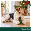 1 ud. Wonder Christmas &Aacute;rbol Piel Prensada Snacks para perros, , large indicador imagen numero 2
