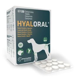 Pharmadiet Hyaloral Condoprotector para perros de razas grandes y gigantes