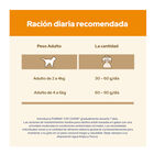 Cat Chow Adult Salmón pienso, , large image number null